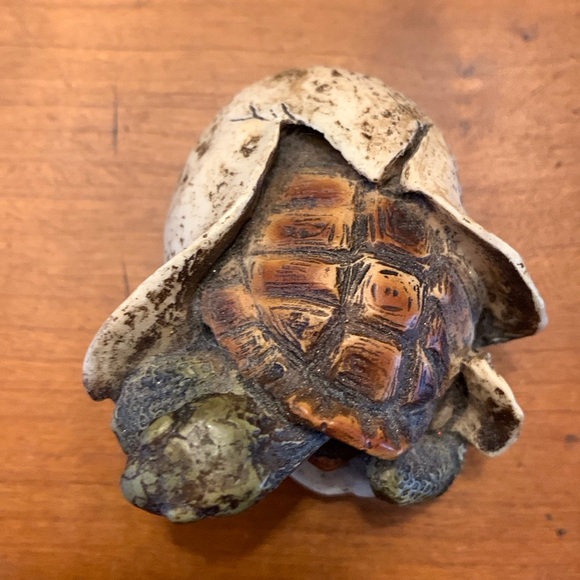 Vintage-EUC. Sea Turtle Hatching 1989 Castagna. Made in Italy - Picture 4 of 9